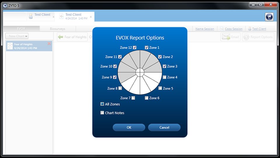 EVOX report options screen shot large