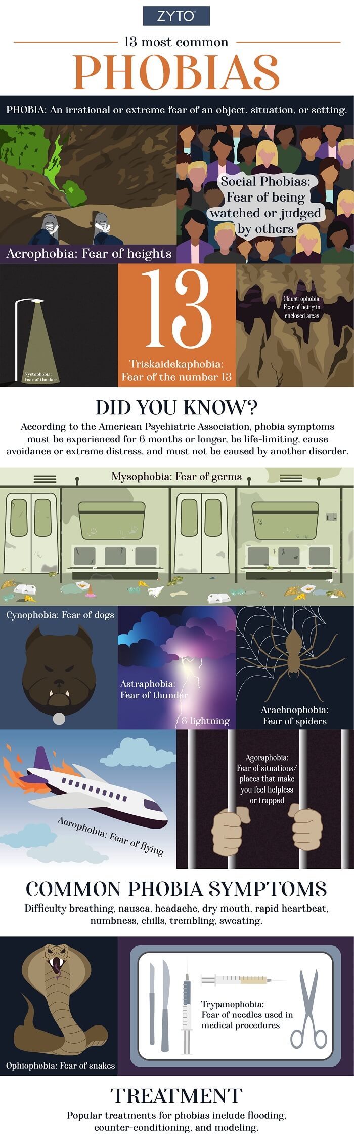most common phobias in the world infographic