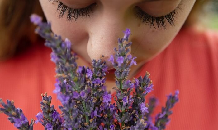 young girl smelling lavender flowers