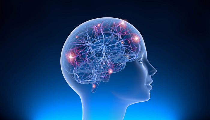 3d image of brain neural activity
