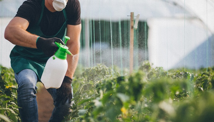 man spraying herbicides on plants